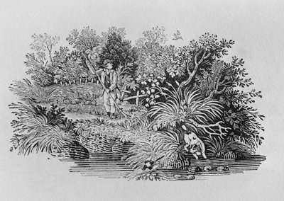 Looking for the Shot by Thomas Bewick